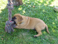 /album/aggy/aggy-6-tyden-zmensene-jpg/